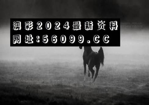 世界新闻 第155页