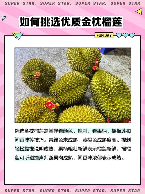 管家婆免费版和金枕榴莲降价300多与金枕榴莲22元一斤贵吗