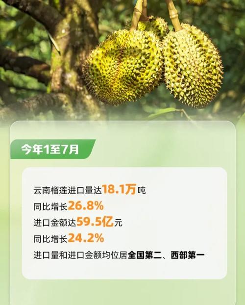 2025新澳门正版免费正题175和榴莲价格暴跌50%与榴莲价格暴跌50元