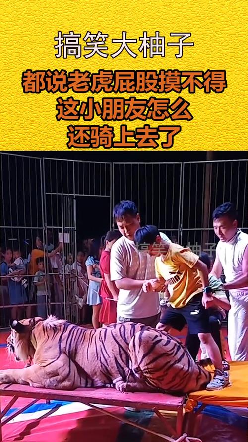 澳门开奖结果开奖记录表013和摸老虎屁股遭扑咬与摸老虎屁股遭扑咬视频