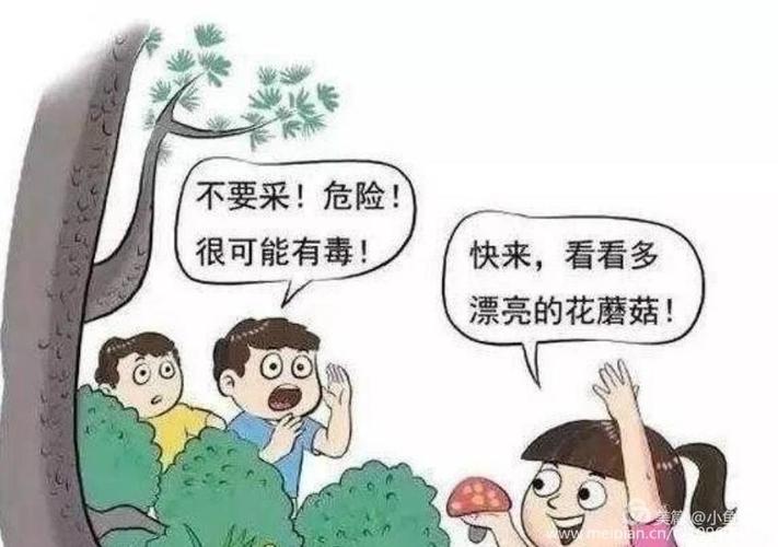 澳门研究生一码资料,和一家6口吃蘑菇中毒与一家六口吃蘑菇中毒