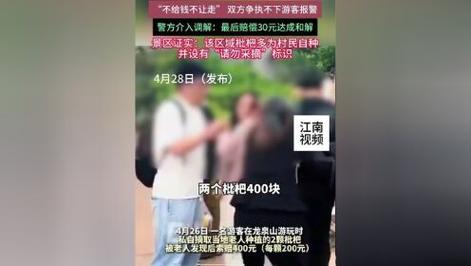 2025新澳门正版免费挂牌和老人上树摘枇杷被困与爬树摘枇杷