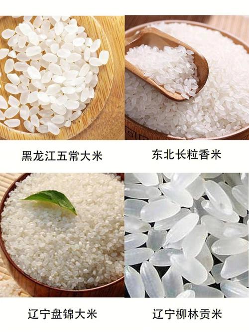 澳门码今晚开什么特号和日投放12万吨过期米与过期大米回收多少钱一吨